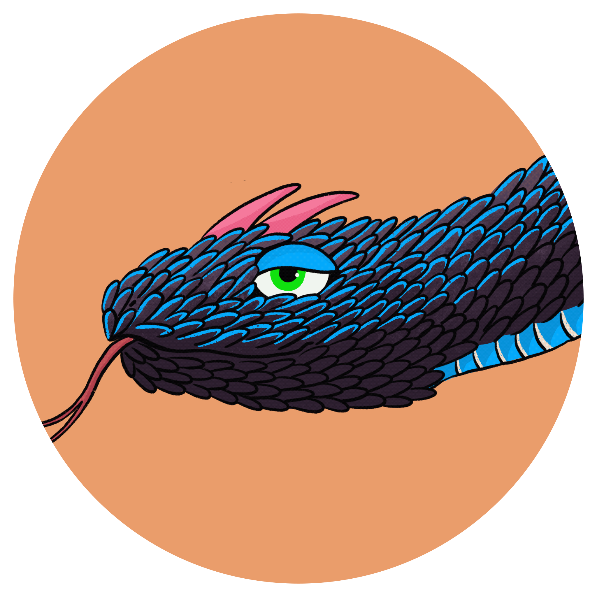 Slammy Profile Circle Picture from Boli and the Desert Slammy the Viper Snake Profile Picture